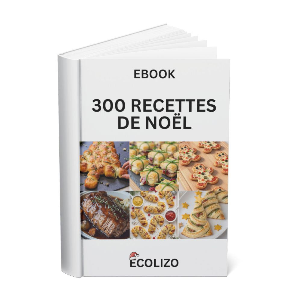 300 recettes Noël