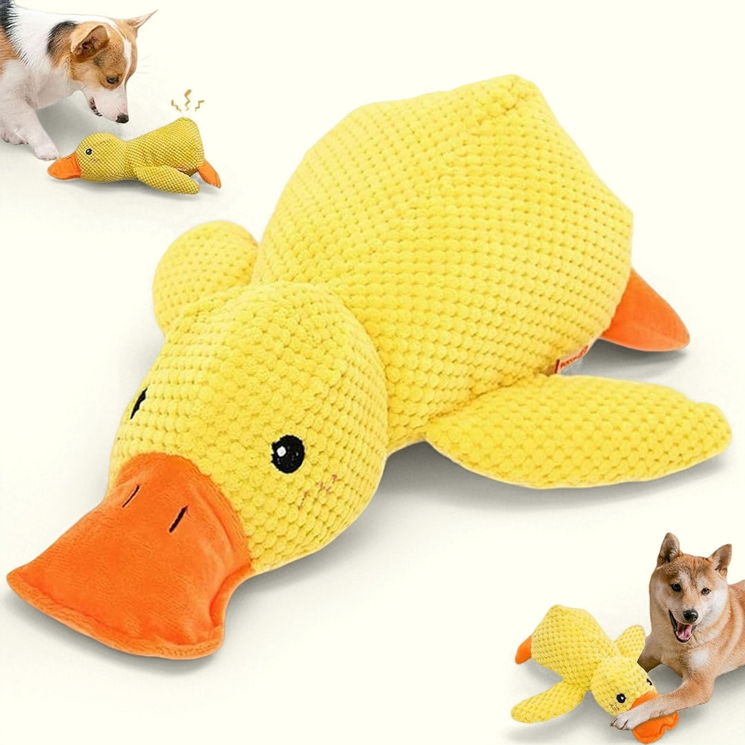 Duck Toy